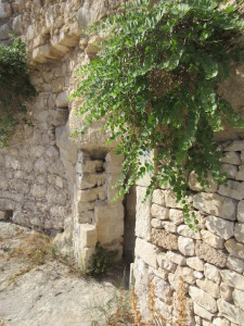 Overgrown Cave